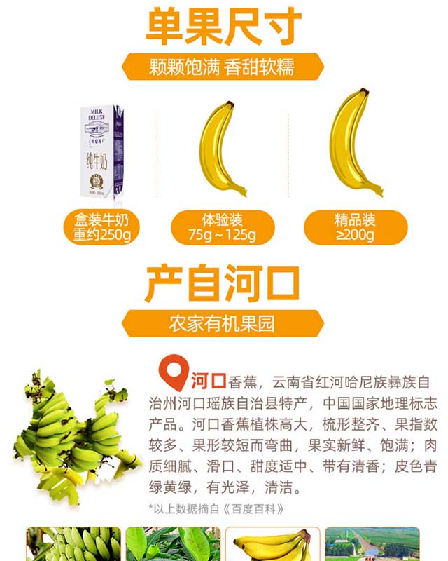 云南河口香蕉最新价格概览，市场行情解析