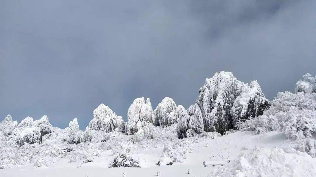 雪灵之最新小说揭秘未知世界与情感深度探索之旅