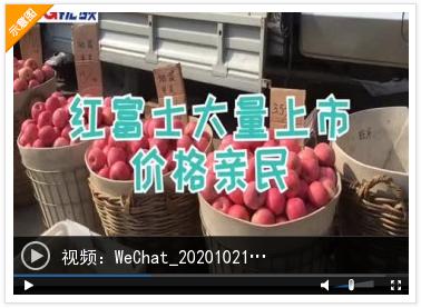 烟台红富士苹果最新价格动态解析