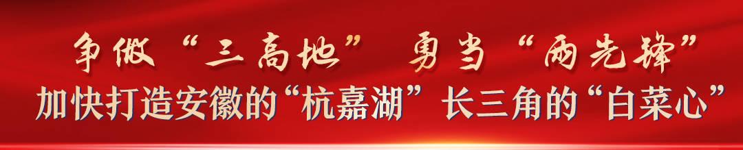博望最新招聘信息全面解析