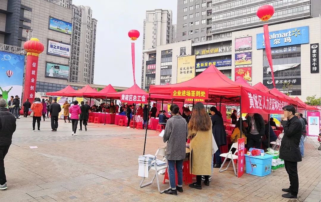合肥最新招工信息及招聘动态更新