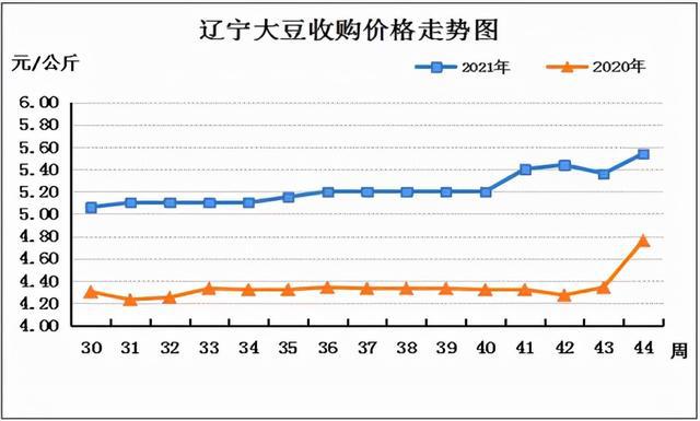 绿豆市场最新价格动态解析