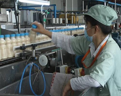 湖北红安最新招聘信息汇总