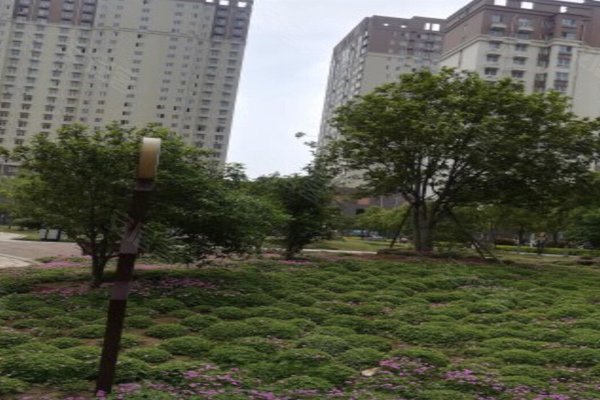 南阳麒麟首府最新房价动态与市场影响力分析