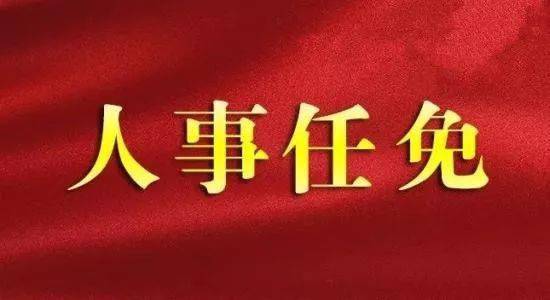 岳阳政府人事任免最新动态