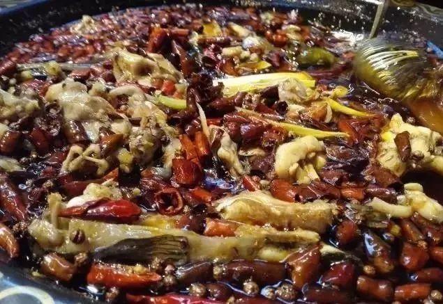 广安麻辣社区论坛最新动态概览